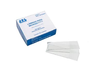 Lâmina Microscopia